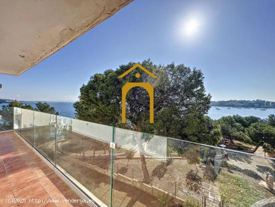 Apartamento de cuatro habitaciones en venta zona Palmanova - BALEARES