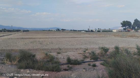  Terreno Agrario - Raiguero Alto, Totana - MURCIA 