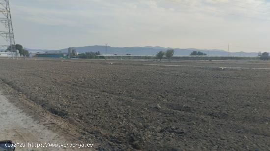  Terreno Rural - Lébor Bajo, Totana - MURCIA 