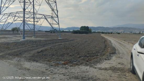 Terreno Rural - Lébor Bajo, Totana - MURCIA