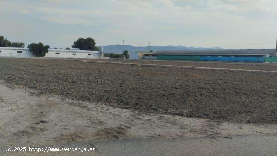  Terreno Agrario - Lébor Bajo, Totana - MURCIA 