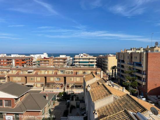 Fantástico apartamento a escasos 300m de las playas de Guardamar del Segura, Alicante - ALICANTE