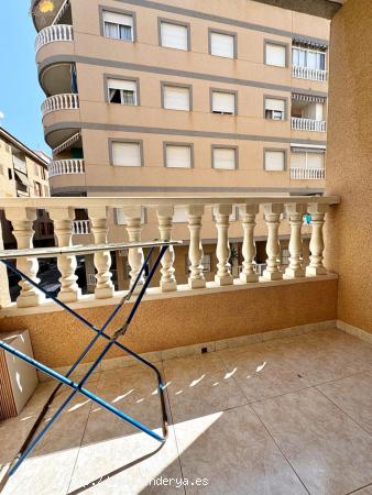 APATAMENTO DE 2 DORMITORIOS 1 BAÑO EN TORREVIEJA ( ACEQUION ) ALICANTE - ALICANTE