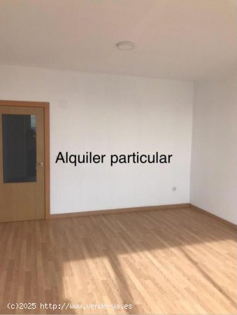 Piso de Obra Nueva en Alquiler en Carlet Valencia