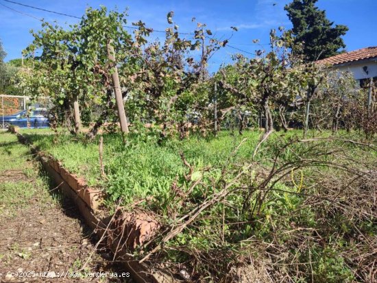 Fantástica parcela totalmente plana de 320m²