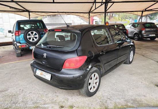 Peugeot 307 1.6i XS - Cornella de Terri