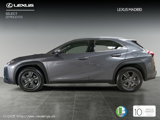 Lexus UX 2.0 250h Business - Madrid