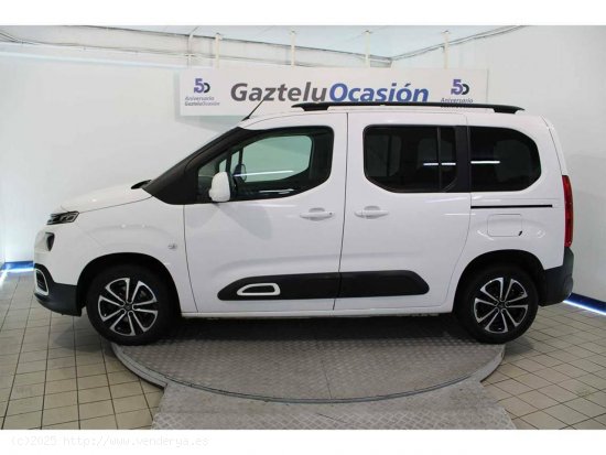 Citroën Berlingo Shine Talla M BlueHDi 100 SHINE - Leioa