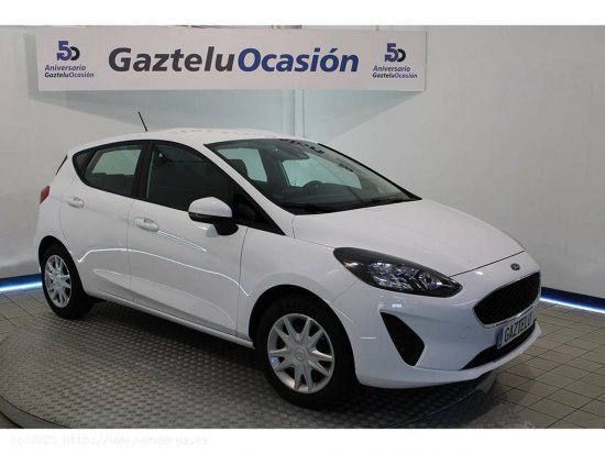 Ford Fiesta Trend 1.1 IT-VCT 55kW (75CV)   5p - Leioa