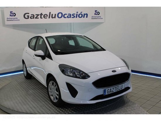 Ford Fiesta Trend 1.1 IT-VCT 55kW (75CV)   5p - Leioa