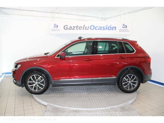 Volkswagen Tiguan Edition 1.6 TDI 85kW (115CV) - Leioa