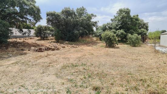  Parcela en zona tranquila que linda con el campo - MADRID 