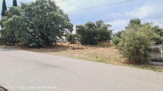 Parcela en zona tranquila que linda con el campo - MADRID