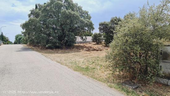 Parcela en zona tranquila que linda con el campo - MADRID