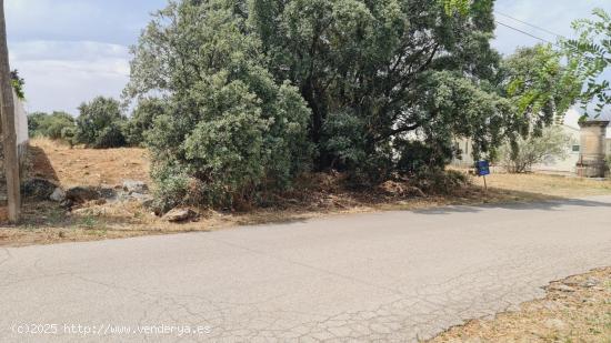 Parcela en zona tranquila que linda con el campo - MADRID