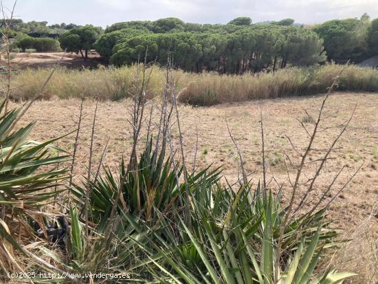 Finca rústica con suministros en Pineda de Mar - BARCELONA