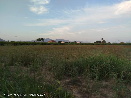 ¡Se vende en Llano de Brujas terreno de 3.600 m2 edificable! - MURCIA