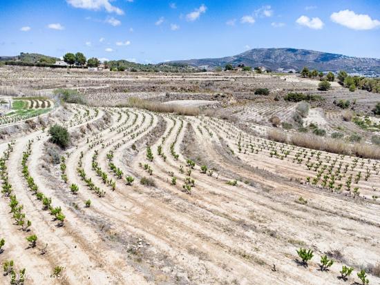 Excepcional terreno rural entre Teulada y Moraira - ALICANTE