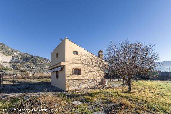  FINCA RÚSTICA EN LA LAGUNA DEL PADUL - GRANADA 