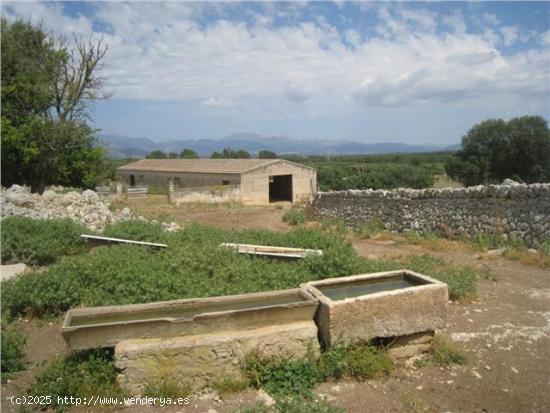 Posesión mallorquina en Sineu - BALEARES