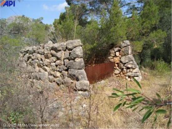 Finca rústica en Bunyola - BALEARES