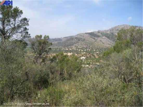 Finca rústica en Bunyola - BALEARES