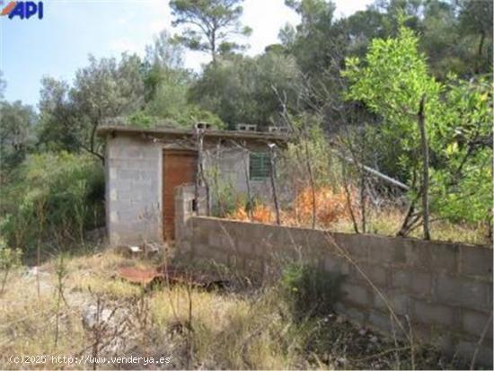 Finca rústica en Bunyola - BALEARES