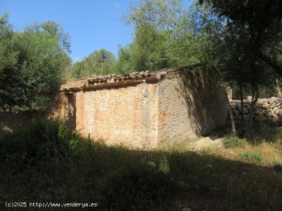 Finca rústica con casas  y dependencias agrarias para reforma integral - BALEARES