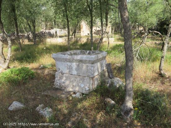 Finca rústica con casas  y dependencias agrarias para reforma integral - BALEARES