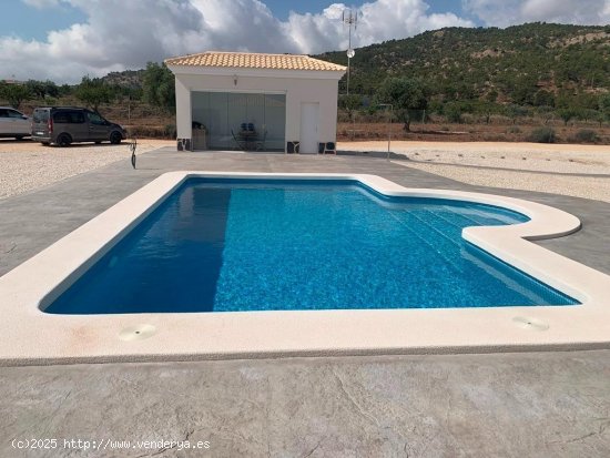 Villa en venta a estrenar en Pinoso (Alicante)