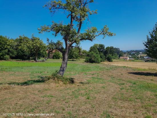 PARCELA URBANA DE 828M2 EN SAN VICENTE DE VIGO, CARRAL - A CORUÑA