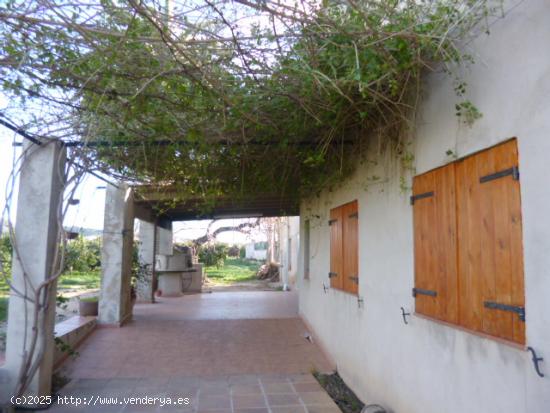 Casa en venta con finca de narajos en Bitem, (Tortosa) - TARRAGONA