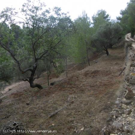 Parcela urbana edificable en zona Urb, Mig Camí - TARRAGONA