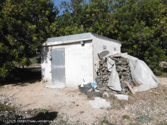 Terreno rural con casita de campo , pozo propio - TARRAGONA