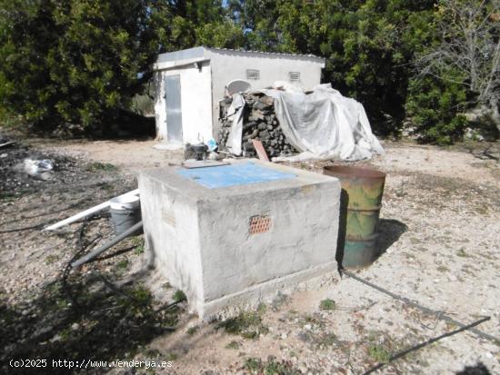 Terreno rural con casita de campo , pozo propio - TARRAGONA