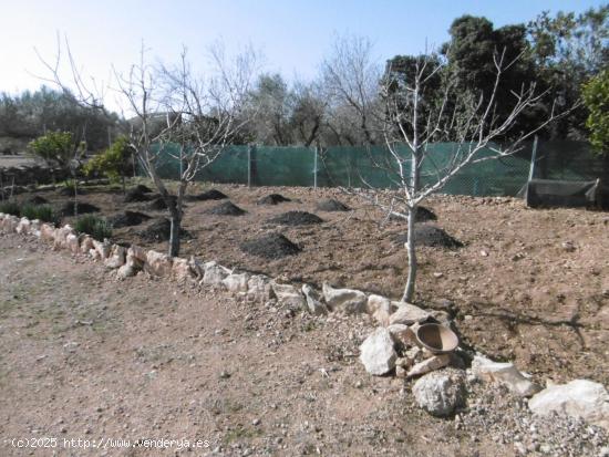 Terreno rural con casita de campo , pozo propio - TARRAGONA