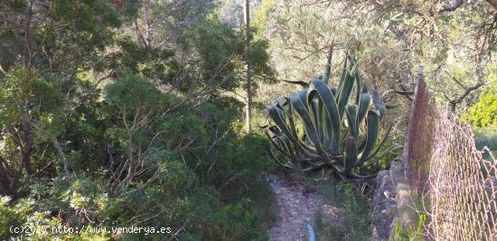 FINCA EN LA PTD SAN BERNABE CON AGUA I LUZ - TARRAGONA