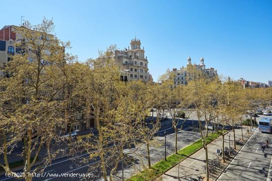 FANTASTICO PISO EN DIAGONAL - BARCELONA