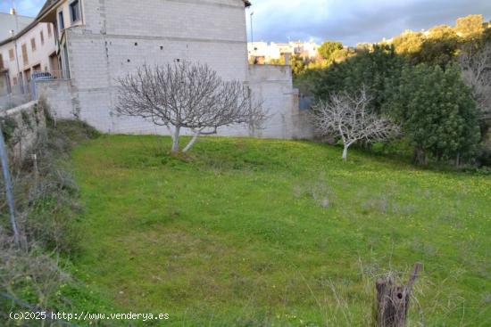  Solar urbanizable en Campanet - BALEARES 