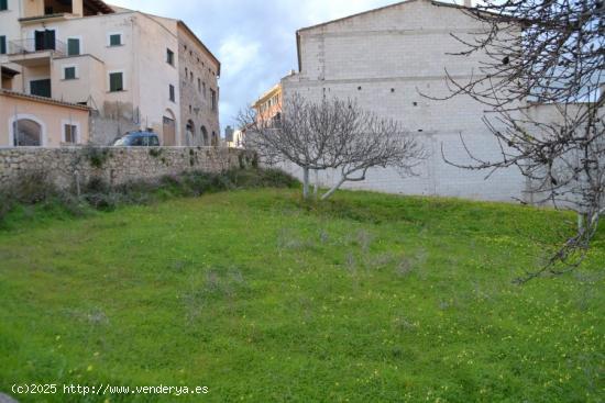 Solar urbanizable en Campanet - BALEARES