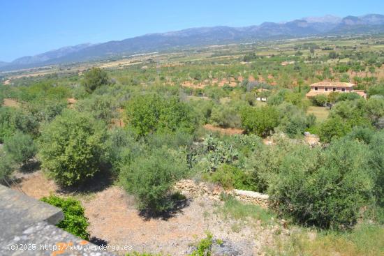 LAS MEJORES VISTAS DE MALLORCA - BALEARES