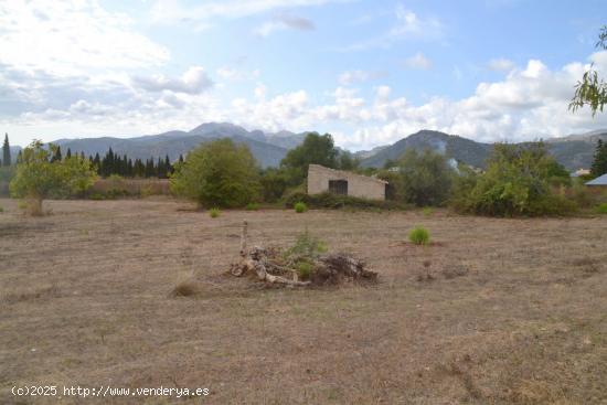 Finca en Campanet - BALEARES