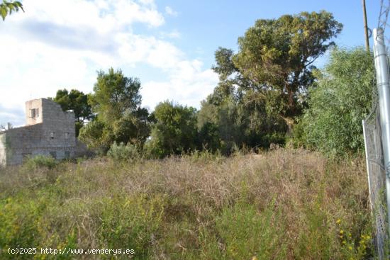 Solar en Muro - BALEARES