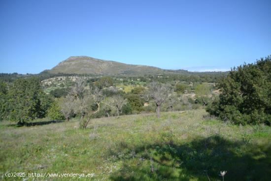 Impresionante Finca - BALEARES