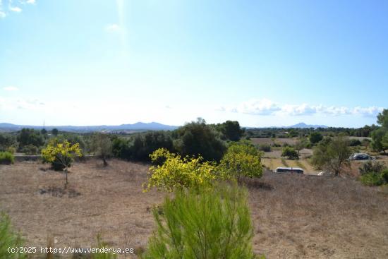 Finca rústica Petra - BALEARES