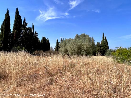 Finca rústica Muro - BALEARES