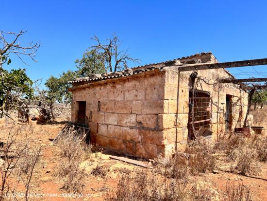 Finca rústica Santa Margalida - BALEARES