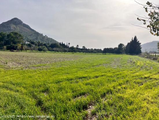  Finca rústica Alcudia - BALEARES 