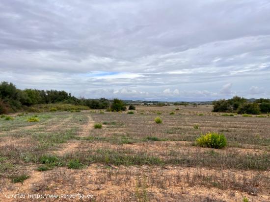 Finca rústica en Petra - BALEARES