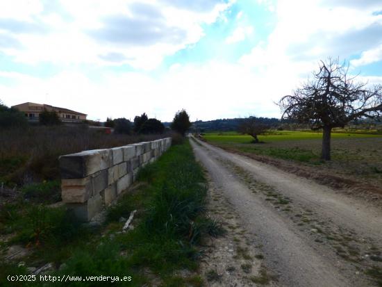 SANT JOAN. Espaciosa finca rústica para finalizar con bonitas vistas. - BALEARES